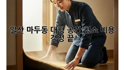 일산 마두동 대형 공간 청소, 비용 걱정 끝!